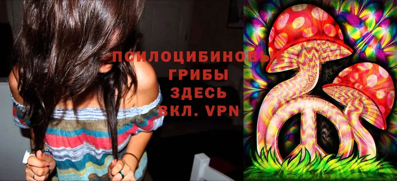 сколько стоит  Вельск  Псилоцибиновые грибы Magic Shrooms 